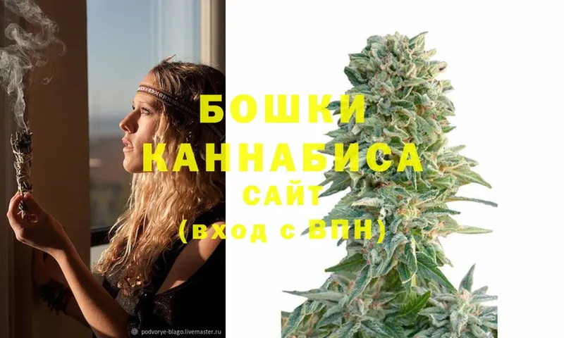 где найти наркотики  Новодвинск  Шишки марихуана THC 21% 